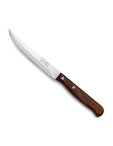 Cuchillo Verduras Serie Latina 105mm